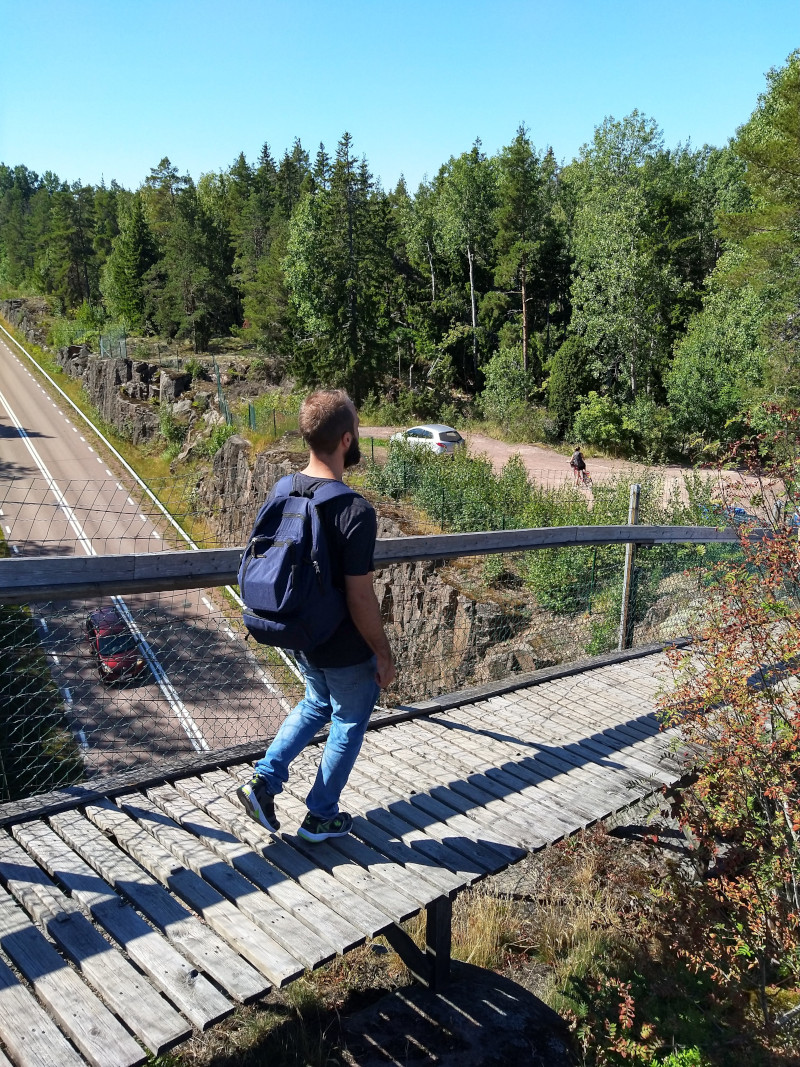 Rudi auf dem Holzweg