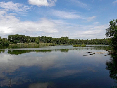 Wasser aus dem Leibisee